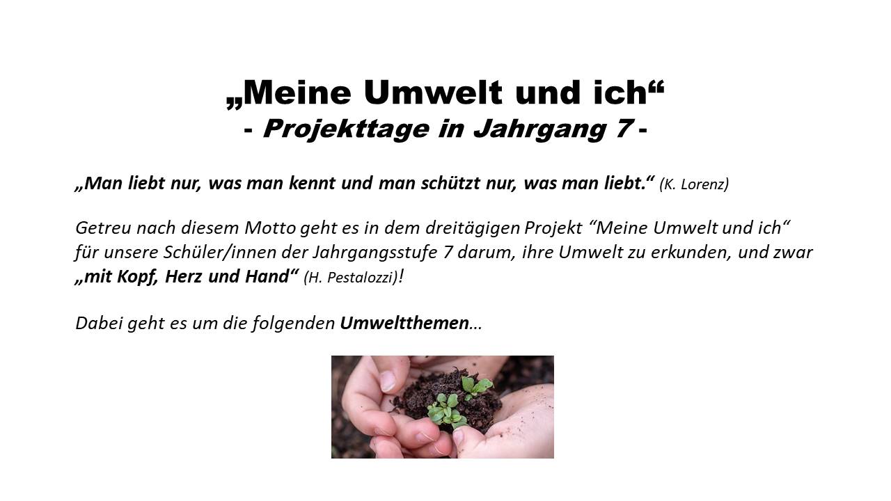 meine-umwelt-hand