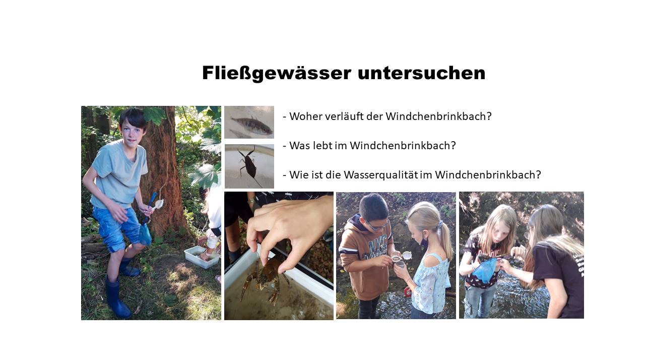 projekttage-fliessgewaesser