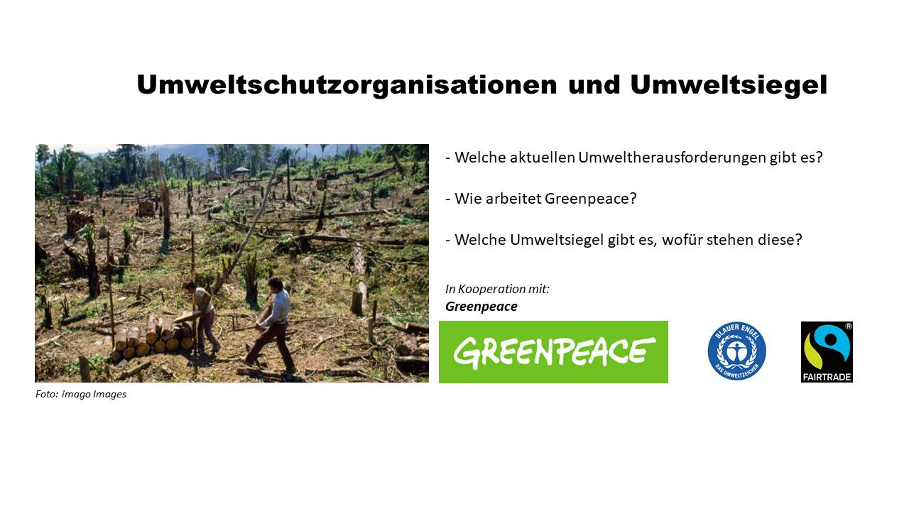 projekttage-greenpeace
